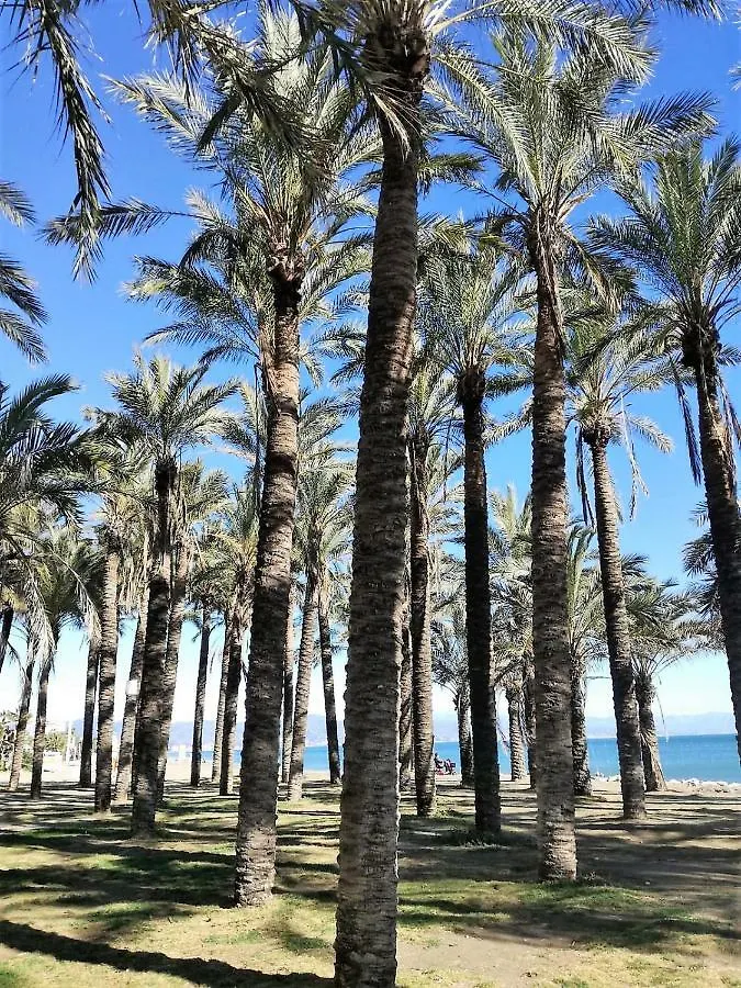 Salome 4 Apartamento Torremolinos 0*,